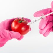 Kaj so gensko spremenjeni organizmi (GSO/GMO)