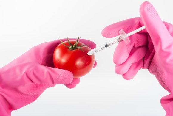 Kaj so gensko spremenjeni organizmi (GSO/GMO) Kaj so gensko spremenjeni organizmi (GSO/GMO)