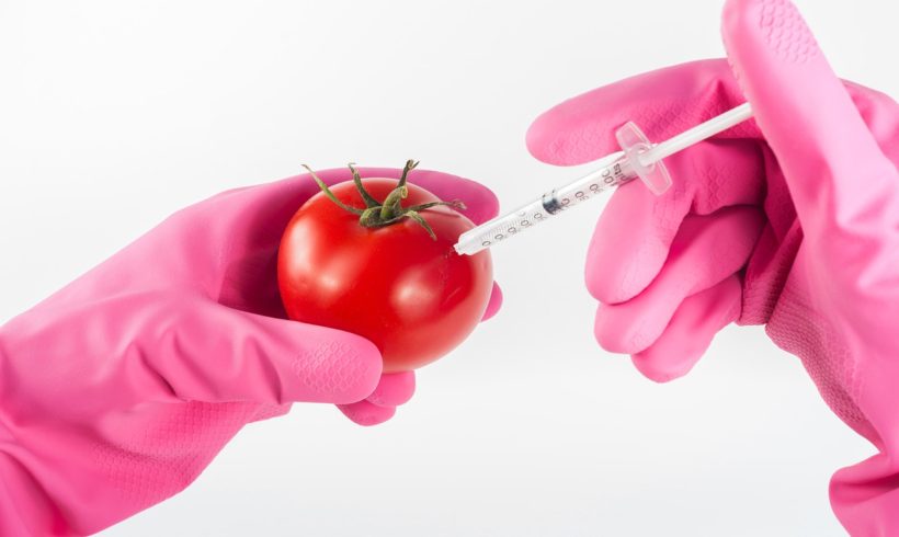 Kaj so gensko spremenjeni organizmi (GSO/GMO) Kaj so gensko spremenjeni organizmi (GSO/GMO)