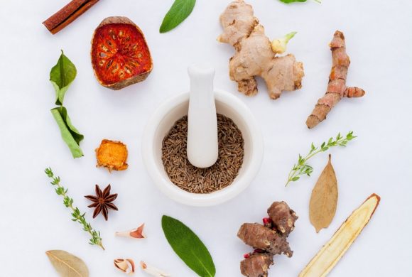 Pomen in uporaba – dišavnice in začimbe